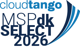 Top MSPs in Denmark 2026