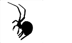 Araneus Systemlösungen GbR