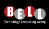 Bell Technology Consulting Group