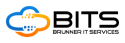 BITS Brunner IT Services GmbH & Co. KG