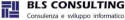BLS Consulting Srl