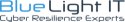 Blue Light IT, LLC