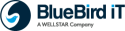 BlueBird iT Solutions Inc