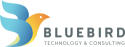 Bluebird Technology & Consulting