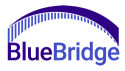 BlueBridge Networks