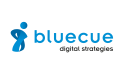 bluecue consulting GmbH & Co. KG