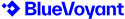 BlueYoyant