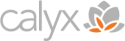 Calyx IT