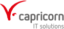 Capricorn Consulting GmbH