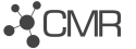 CMR Intech Limited