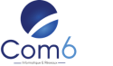 COM6