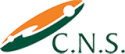 Computer Networking Services of NH