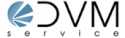 DVM Service S.r.l.