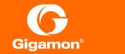 Gigamon