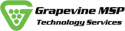 Grapevine Msp, LLC