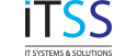 IT Systems and Solutions