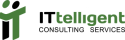 ITtelligent Consulting Services