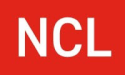 Net Consulting Ltd