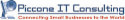 Piccone IT Consulting, LLC
