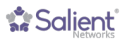 Salient Networks