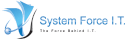 System Force IT