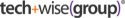 TechWise