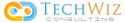 TechWiz Consulting