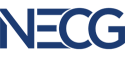 The New England Computer Group, Inc.