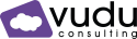 Vudu Consulting LP