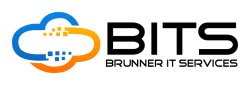 BITS Brunner IT Services GmbH & Co. KG