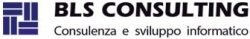 BLS Consulting Srl