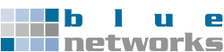 blue networks GmbH