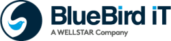 BlueBird iT Solutions Inc