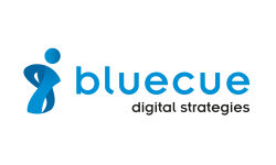 bluecue consulting GmbH & Co. KG