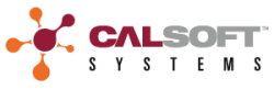 Calsoft Systems