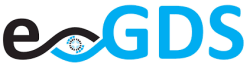 E-gds srl