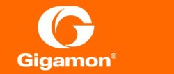 Gigamon