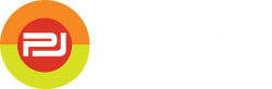 Professional Link Srl (plink)