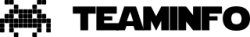TEAMINFO