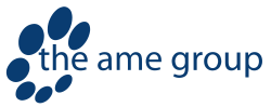 The AME Group