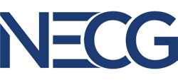 The New England Computer Group, Inc.