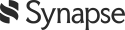 Synapse360