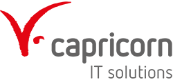 Capricorn Consulting GmbH