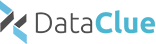 DATACLUE s. r. o.