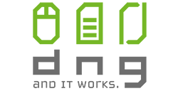 dng IT GmbH & Co. KG
