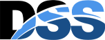 DSS Digital Group