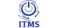 IT Manager Services