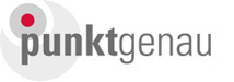 punktgenau business consulting GmbH