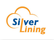 Silver Lining Information Technology Co