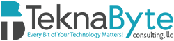 Teknabyte Consulting LLC
